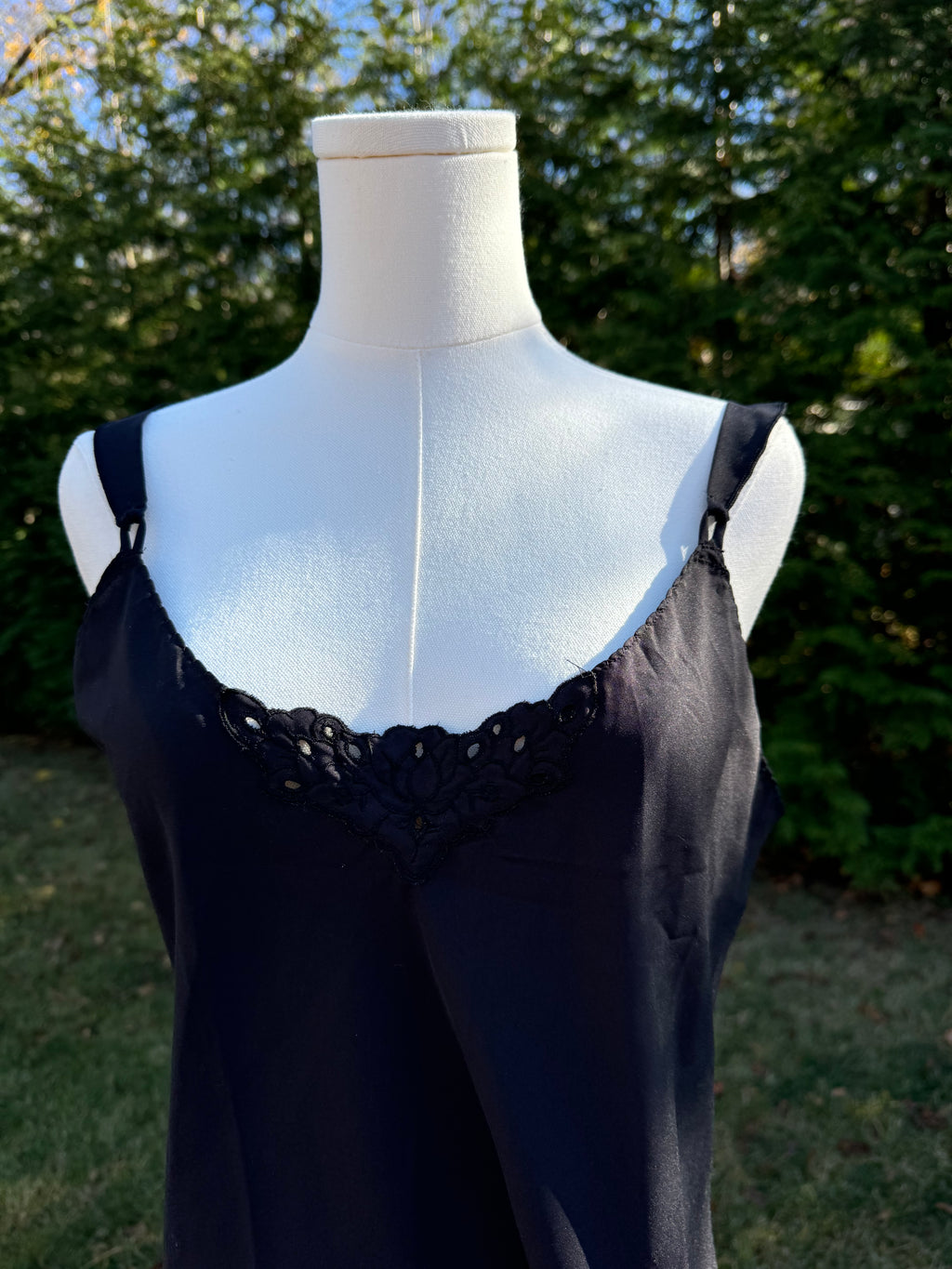 the darya slip