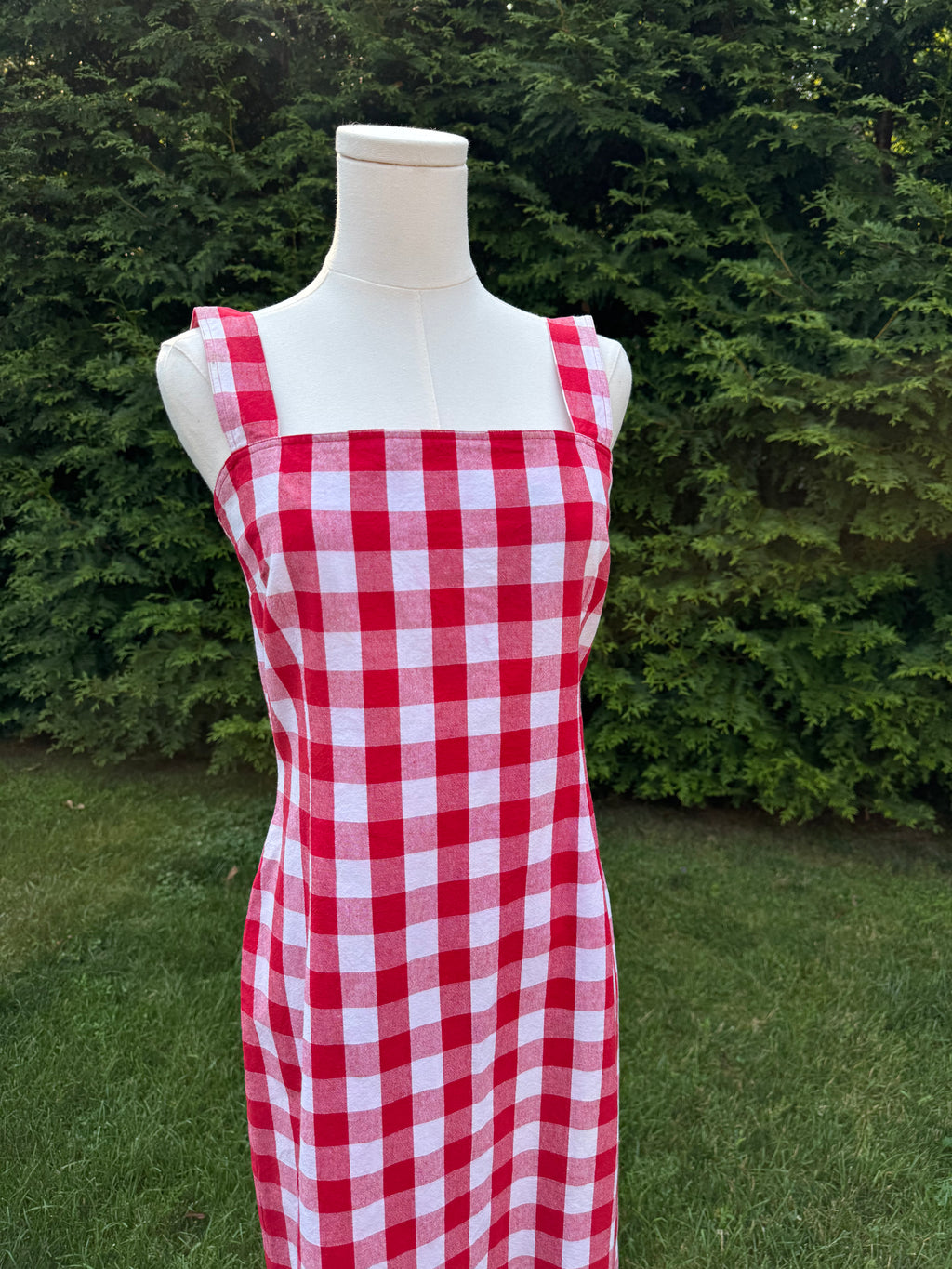 the dolce dress
