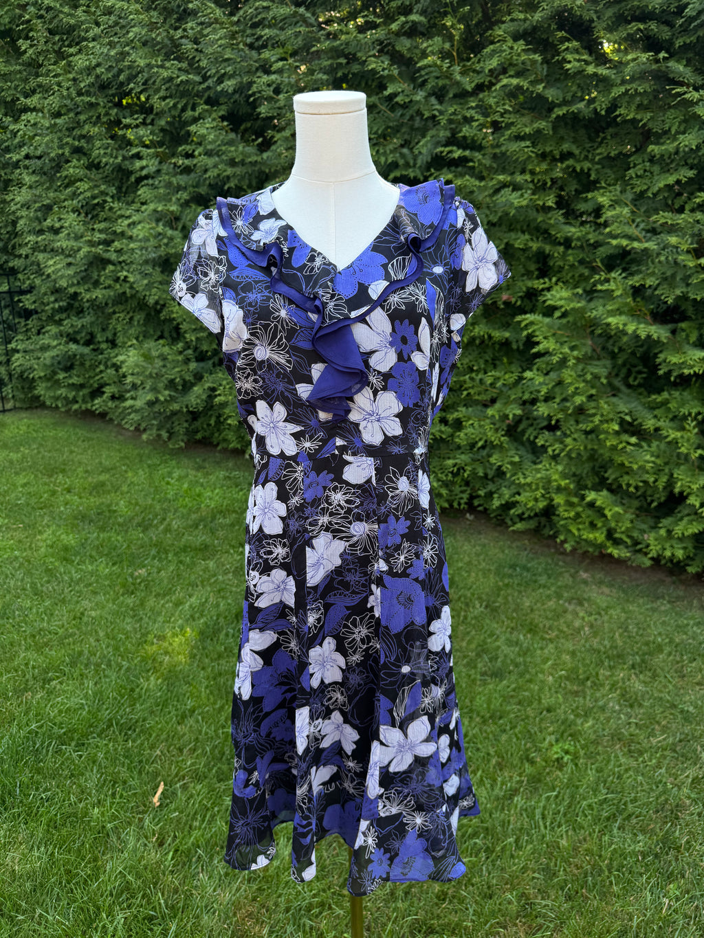 the evolet dress