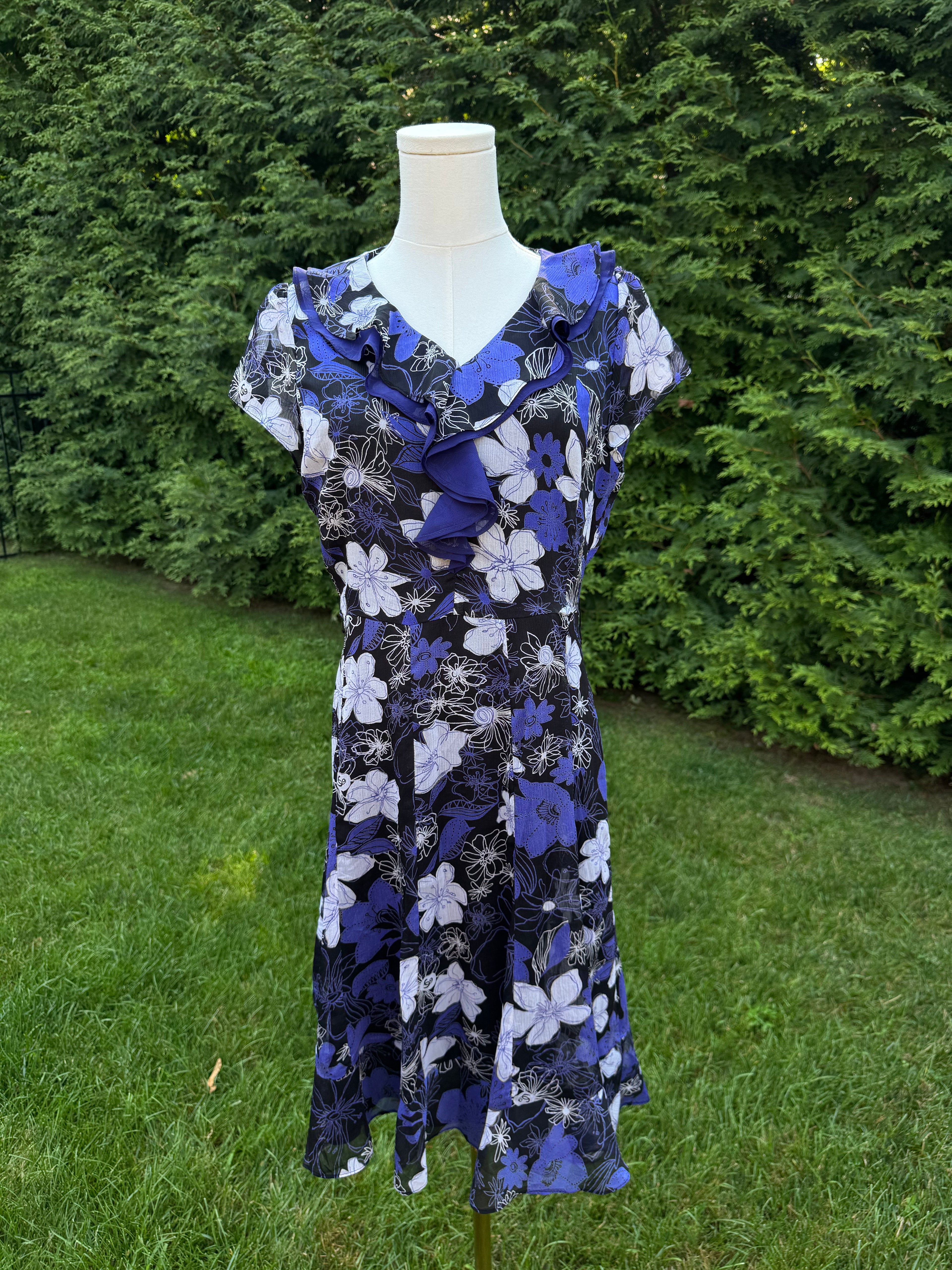 the evolet dress