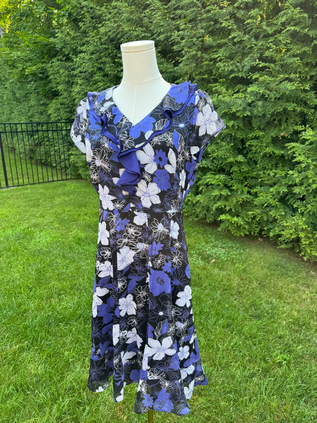 the evolet dress