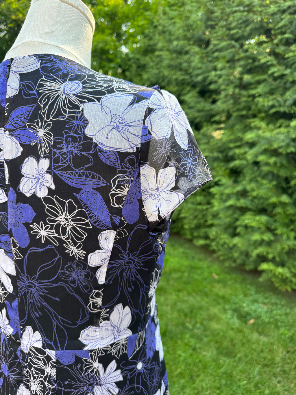 the evolet dress
